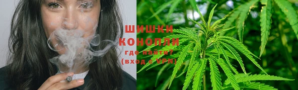 стафф Семилуки