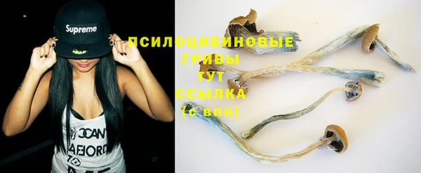 стафф Семилуки