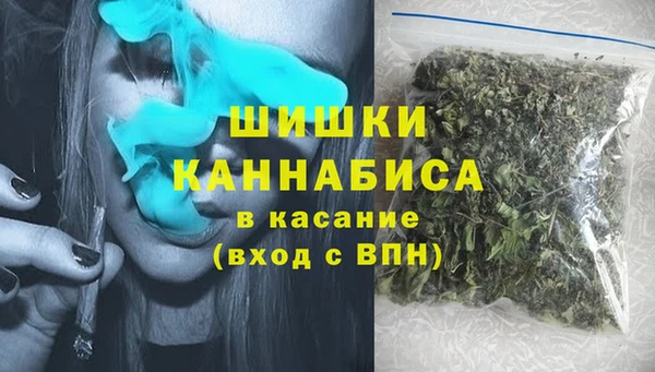 стафф Семилуки