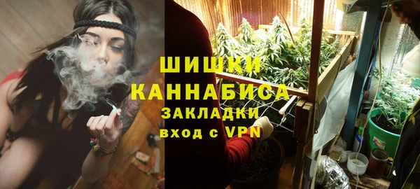стафф Семилуки